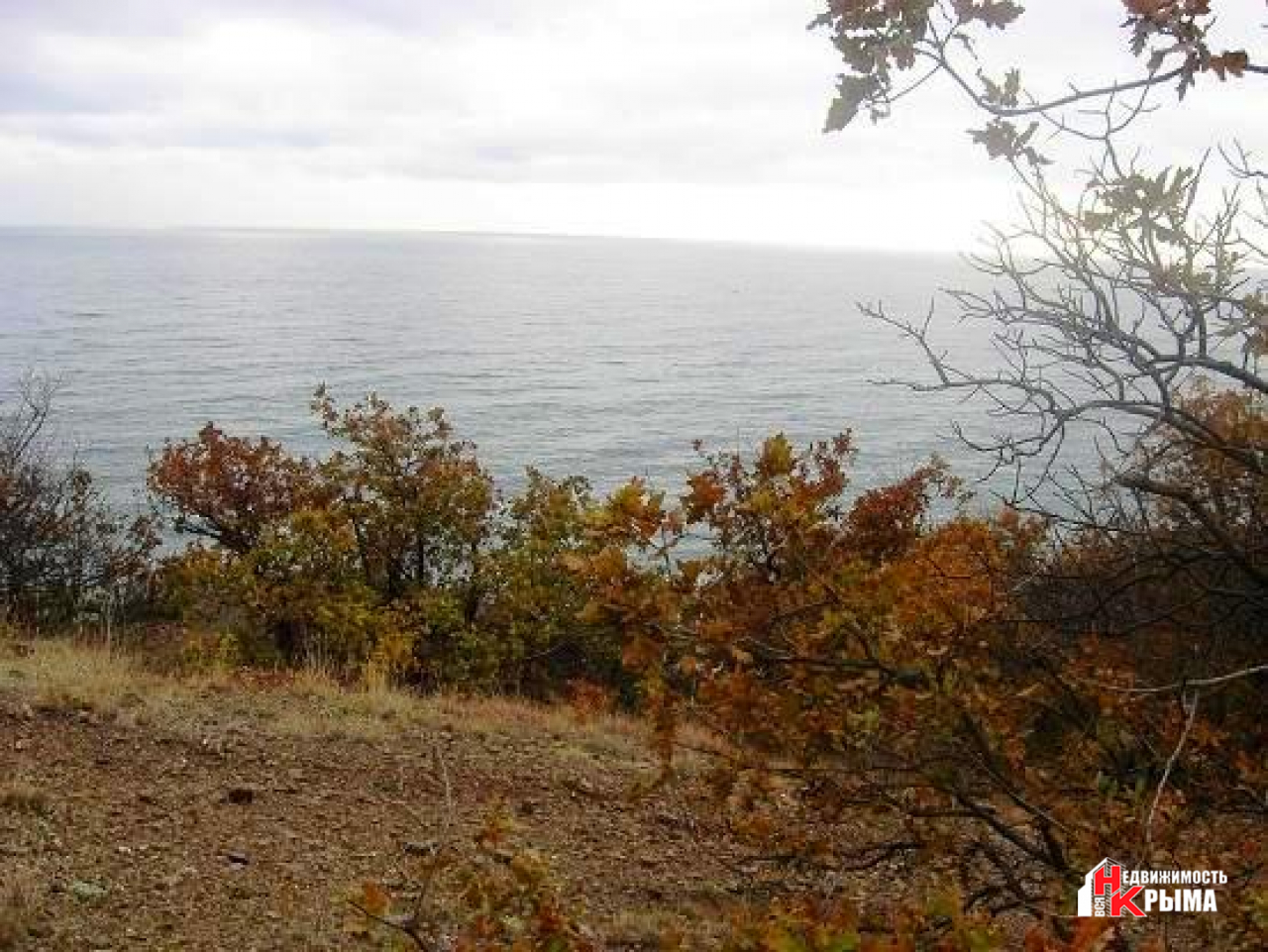 Погода приветное алушта крым на 10. Приветное Крым. Канакская балка Крым. Погода Приветное Алушта. Приветная Омск фото.