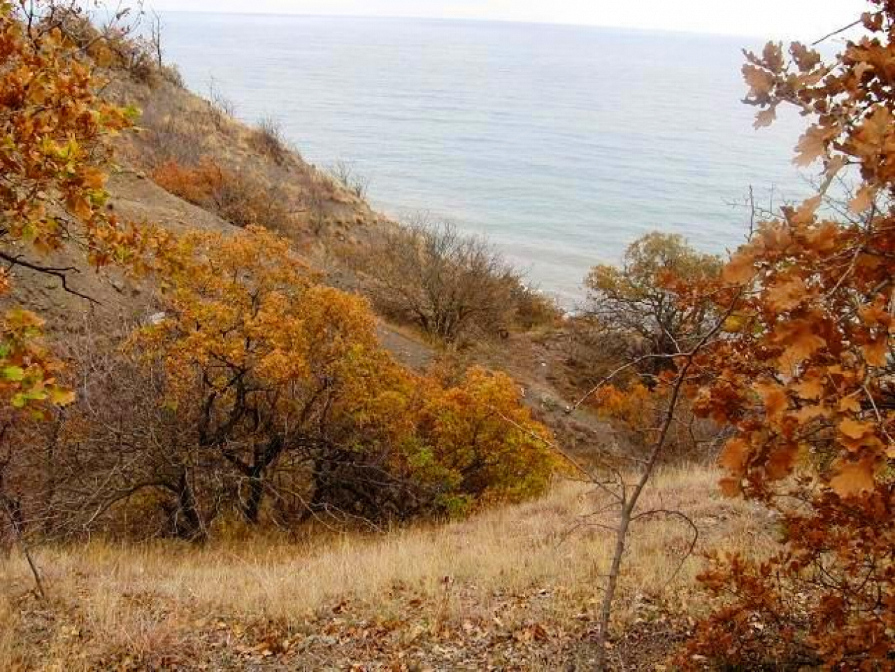 Погода в крыму в алуштинском районе. Кучукова муминемуртазаева Приветное Алушта Крым. Крым разрушенный Маяк село Приветное. Участок Алушта Приветное ул Мазина 20. Участок Алушта Приветное ул Мазина 19.